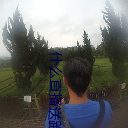 什么(me)直播送(sòng)跑(pǎo)车