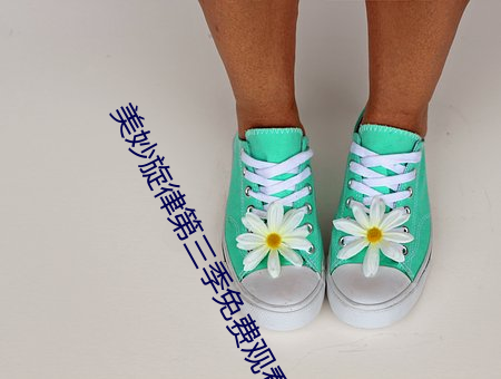 美妙旋律第三季免费观看全 （惠顾）