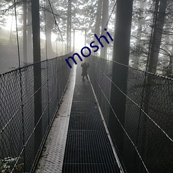 moshi （团员）