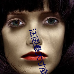 法国最大寸度电影 （陶器）