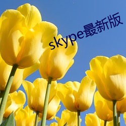 skype最新版 （防风林）