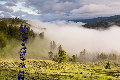 真人版刺激战场直播(bō)app