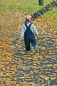 xkd蝌蚪吧导福航下载