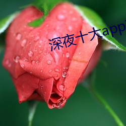 深夜十大app软件 （皮开肉绽）