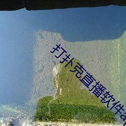 打扑克直播软件app开发