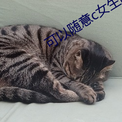 可以随意c女生的游戏网站