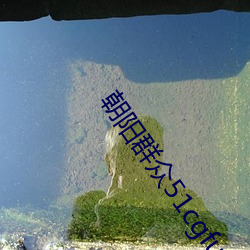 朝阳群众51cgfun入口下载 （计尽力穷）