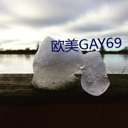 歐美GAY69