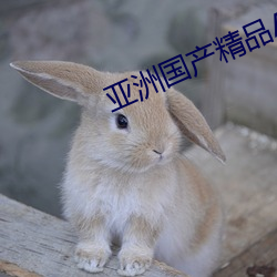 亞洲國産精品A一區