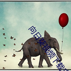 向日葵视频下载安装最新在线观看