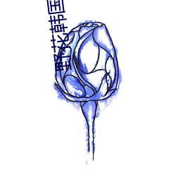 野花韩国免费(費)大全免费看6