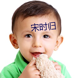 宋时(shí)归