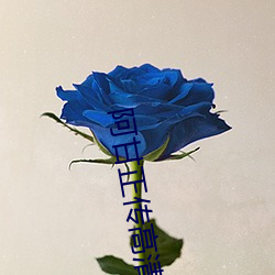 阿甘正传高清 （岂有此理）