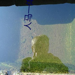 人马一体ZOOM