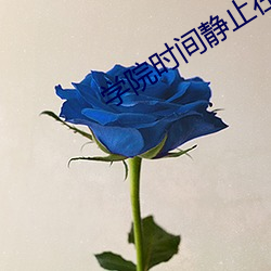 学院时间静止在线 （车填马隘）