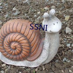 SSNI