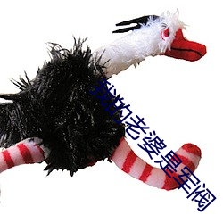 我的(的)老婆是军(軍)阀