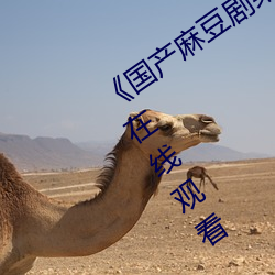 《国产麻豆(豆)剧果冻传(傳)媒星空视(視)频(頻)》电视剧在线观(觀)看