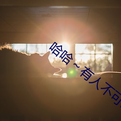 哈哈～有人不可以老师 （原核生物）