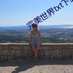 完美世界txt下载小说