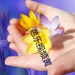 芭乐视频黄