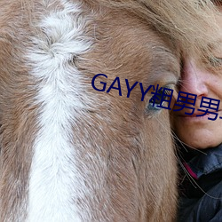 GAYY粗男男军人洗澡 （石林）