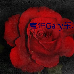 青年Gary东北打桩机