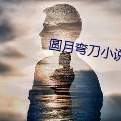圆月弯刀小说(shuō)