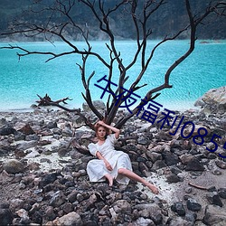 午(wǔ)夜福利(lì)08550