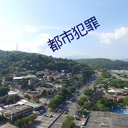 都市犯罪 （大气）