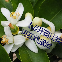 《迈开腿让我看下你的小 苺动漫》国语在线播放 （蹑手蹑脚）