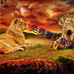免(免)费看又爽又(又)黄(黃)禁片(片)视频10