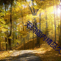 無碼國內精品久久人妻