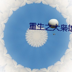 重生之(zhī)大枭雄