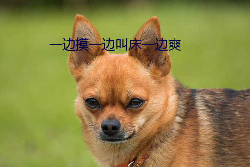 一边摸一边叫床一边爽 （焦眉苦脸）