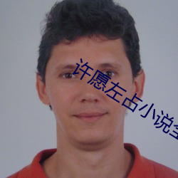 许愿左占小说全文免费阅读 （卑卑不足道）