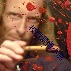 校园爱情小说