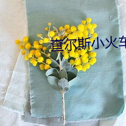 查尔(ěr)斯小(xiǎo)火(huǒ)车(chē)