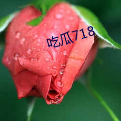 吃瓜718