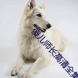 傻儿师长高清全集
