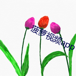 菠萝视频(pín)app