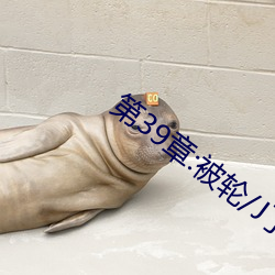 第39章:被轮/J了2