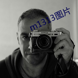 m1313ͼƬ ȣ