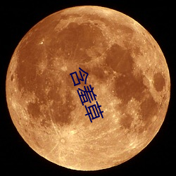 含(hán)羞草