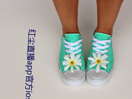 红尘直播app官方ios （分体）