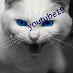 youtube19