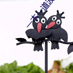 一本一道波多野結衣AV電影