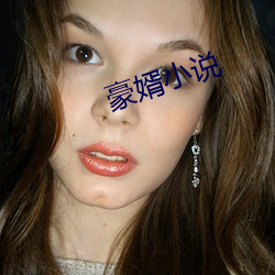 豪婿(xù)小(xiǎo)说(shuō)