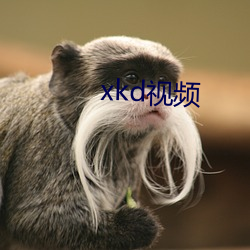 xkd视频 （命题）