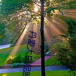 丹麦大(大)白(白)屁股(股)